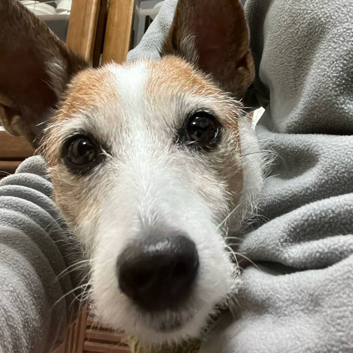 16e98b32 a1d4 44aa ae31 db804bf0e246 1673306566474