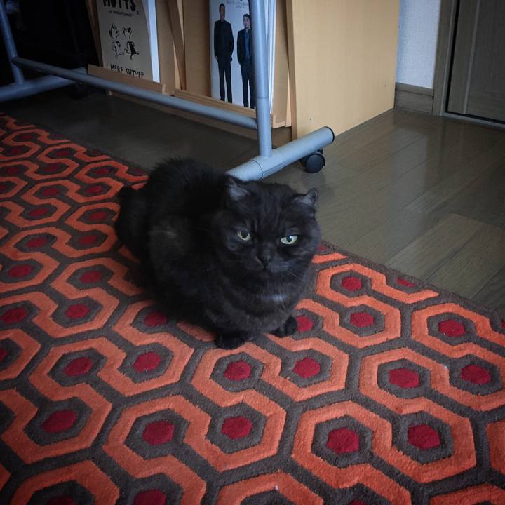 16e99997 2618 41a0 ba61 0c4d1006c97e 1583465241064