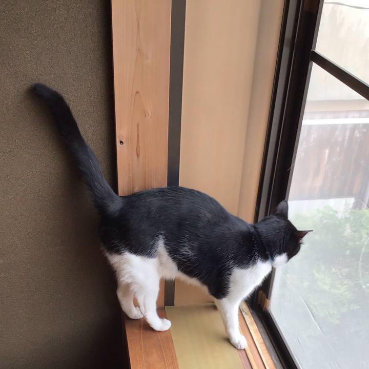 16e9c2de f3ae 47fb aef9 3ab49455cd96 1750750043821