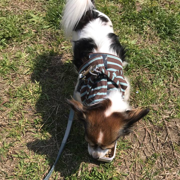 16e9f58a 67db 46f4 a501 d4f71e388148 1553655093565