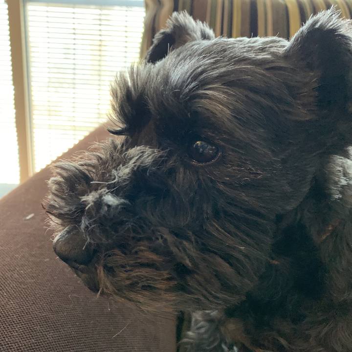 16ea4c80 a36f 4df3 85dd da667d999725 1587784078973