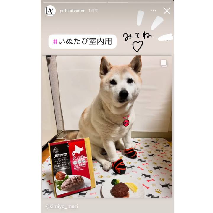 16ea5da0 7070 4651 947f ec89f6b8a3c2 1737959299802