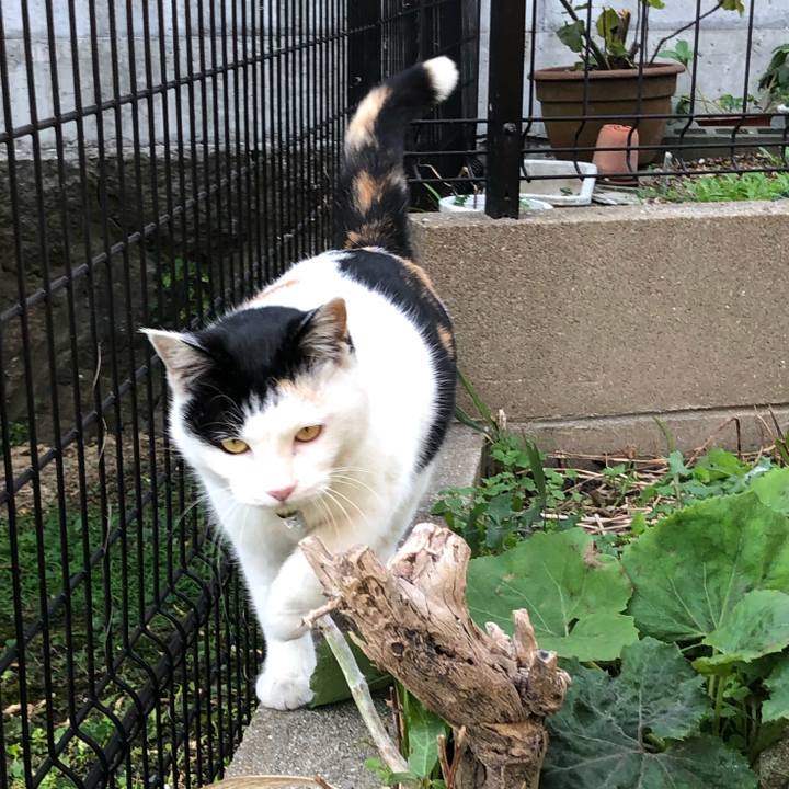 16ea6034 2fa3 4276 9470 02e6954e91f8 1609632613203