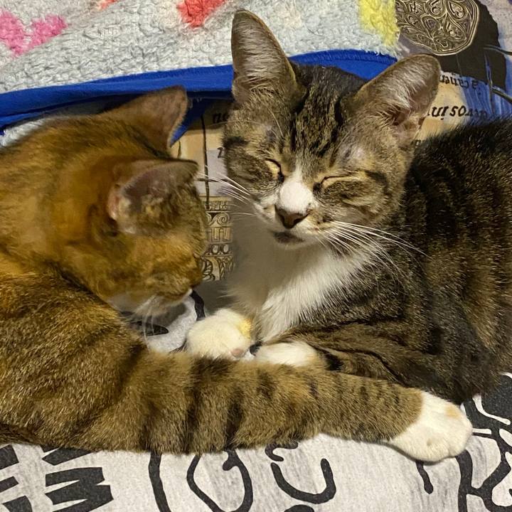 16ea64cc df2e 45ec a4c6 beac6fe41889 1603791053987