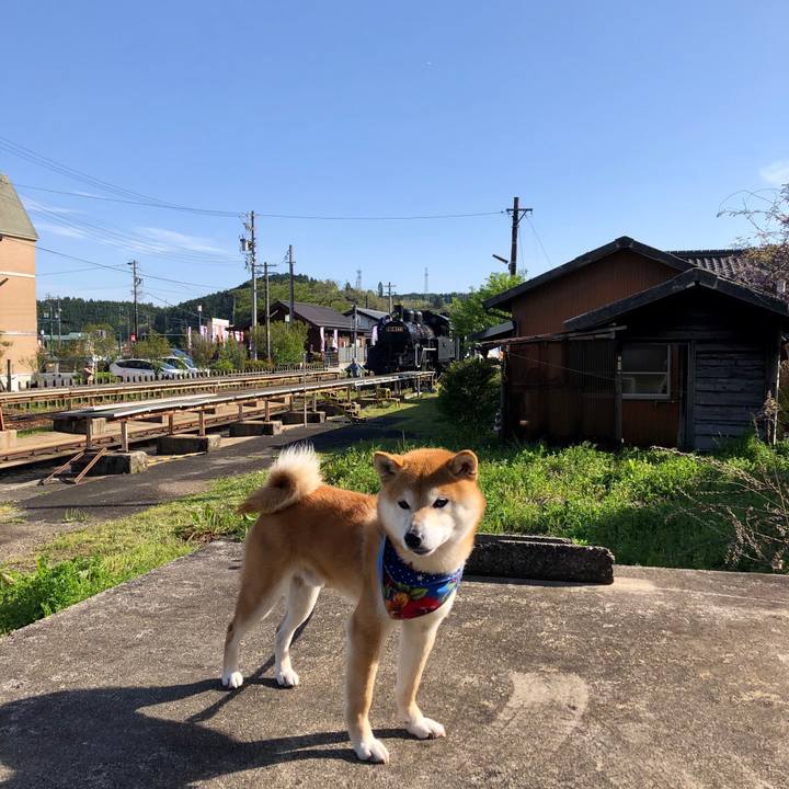 16eaa3be cbc8 4509 a852 1d20907f949d 1556966896287