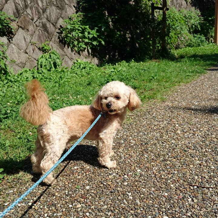 16eaae2f 483a 400d 9f4a 078b661231b5 1529802760283