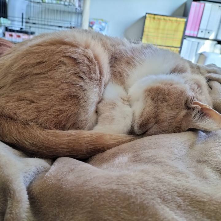 16eab25a e34c 42eb 9b2a 608f3c05cf45 1641780275799