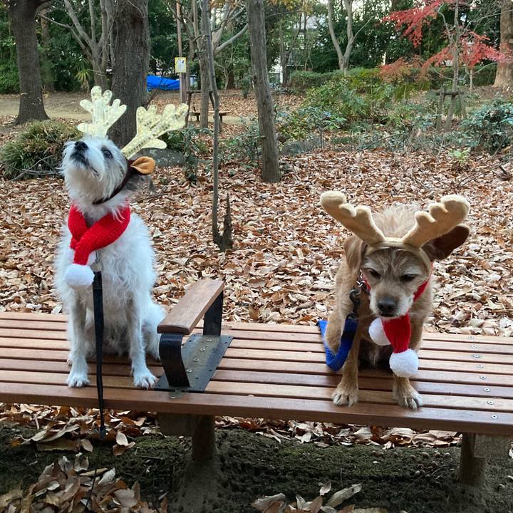 16eabca5 2840 41cd bc72 77aef6770d15 1703379571254