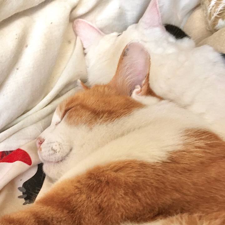 16eac715 2cda 4326 a3b8 8b332c4ab06a 1578472830352