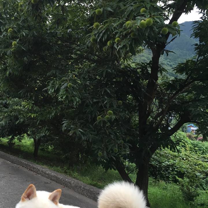 16eae4c7 56f1 4ff6 9e2f 3972e3d4896f 1534034997122