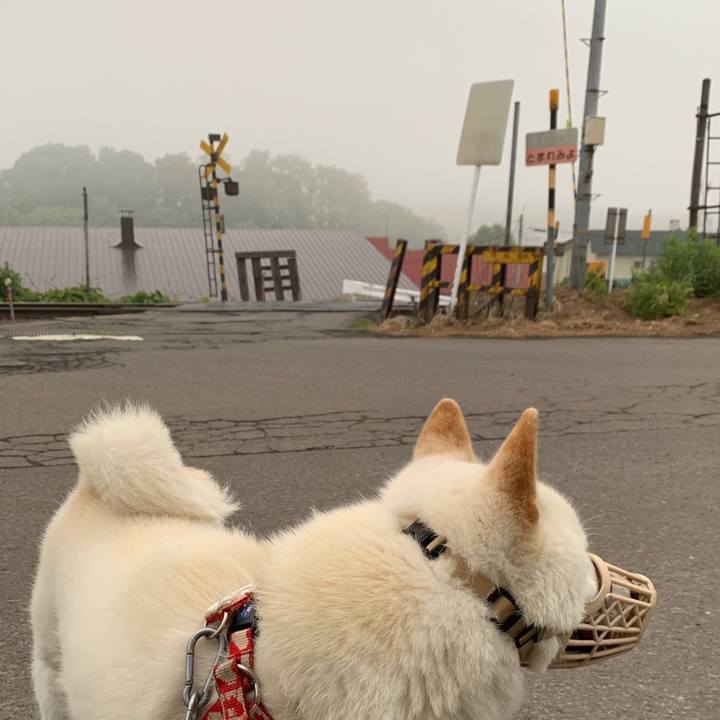 16eb0771 2579 4617 8ec4 3e1c61871f2a 1559680075174