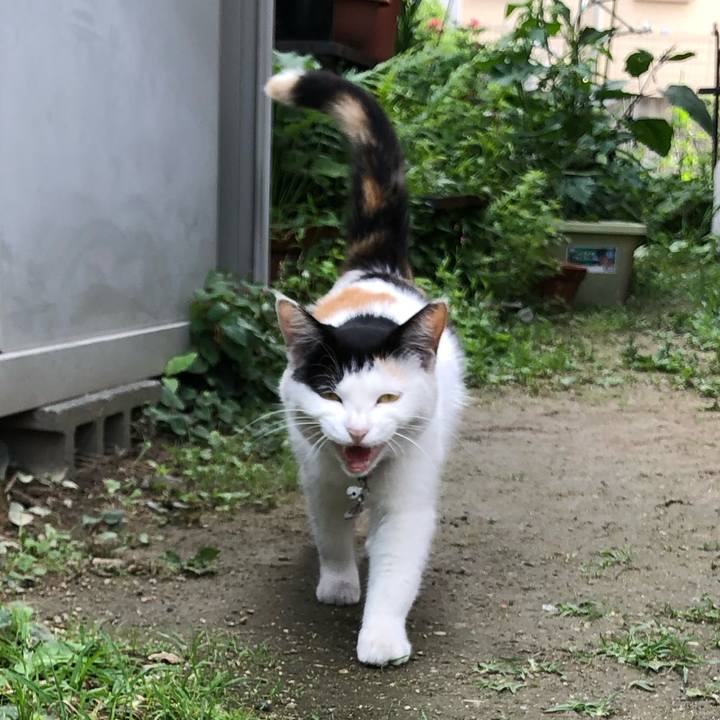 16ebb9eb 6ca2 48ac 84de 052b106fe045 1623924720186