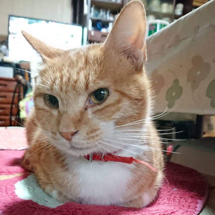 16ebe740 3824 47e6 9729 3e20829628ad 1569532098075