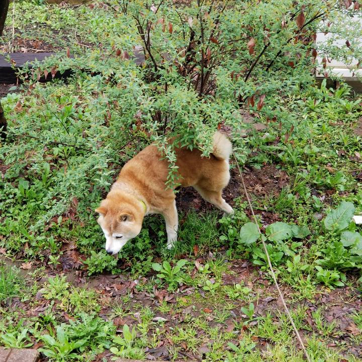 16ec23fd 024b 475c 9a51 8f5abda9761f 1681860206893