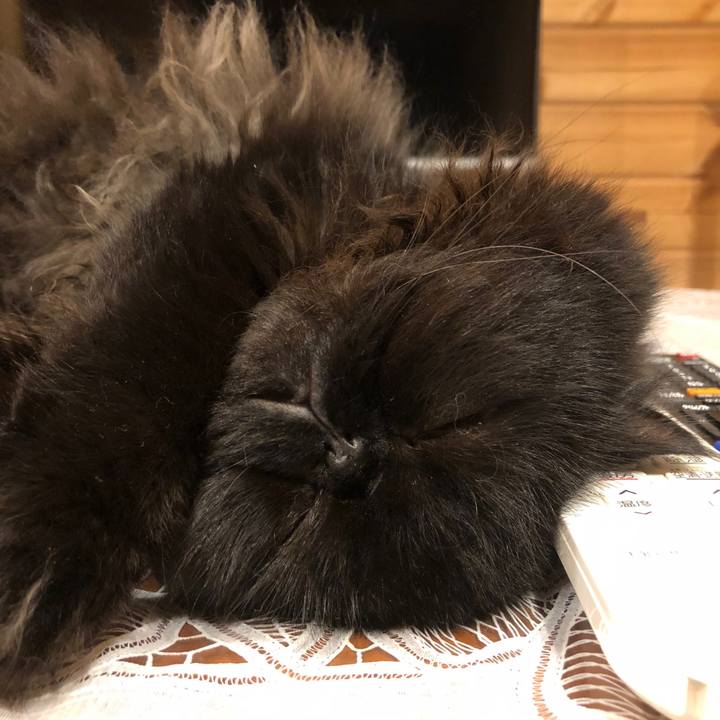 16ec3726 21b2 4625 8cab d29f665237f8 1539971897433