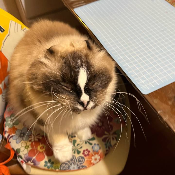 16ec3b18 c322 4551 9c10 6921126ad4c5 1640442399129