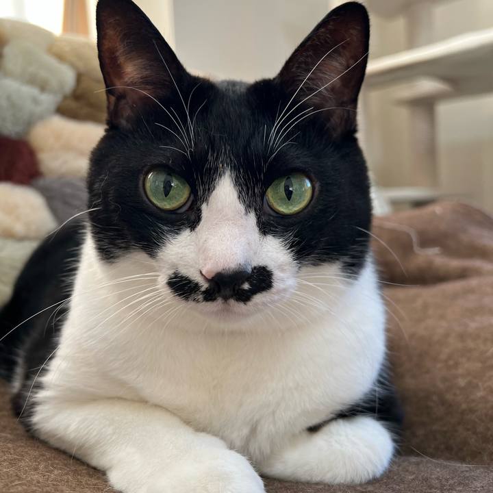 16ec4d62 b5d6 41da b653 30e11c835dd6 1763072658440