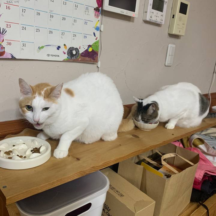 16ec59a7 a12b 4b85 9737 664e4f6b09c6 1664573507651