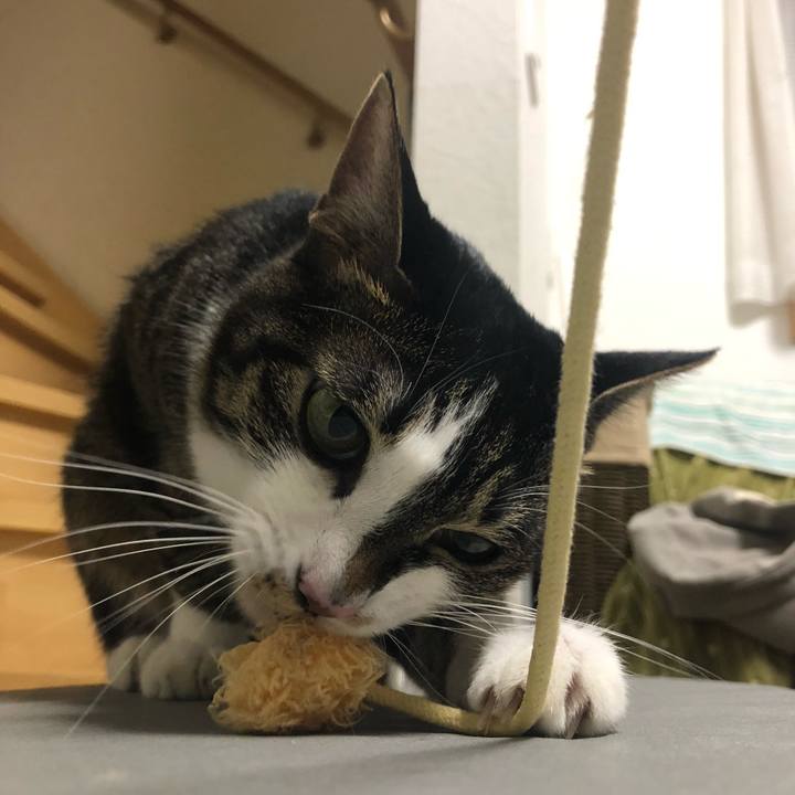 16ec80c2 a857 4f0f 859c c79ffc69e25c 1556776699063