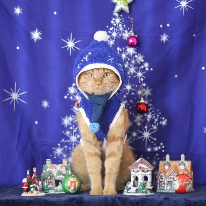 16ec8d0b 8861 4797 a6d2 066aafa8ca7e 1639983802315