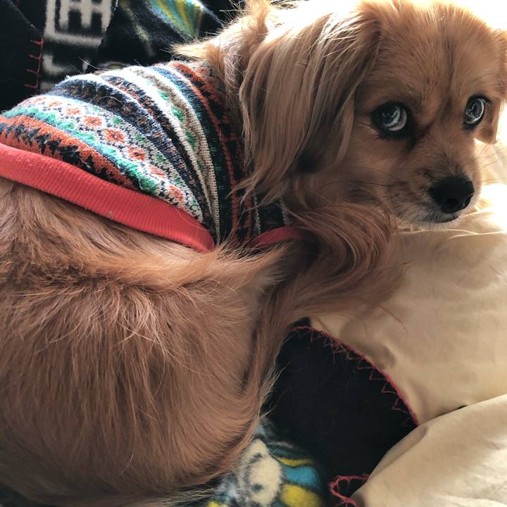 16ec9b97 c3e1 4e45 984d 916e1b38e8ae 1548887539683