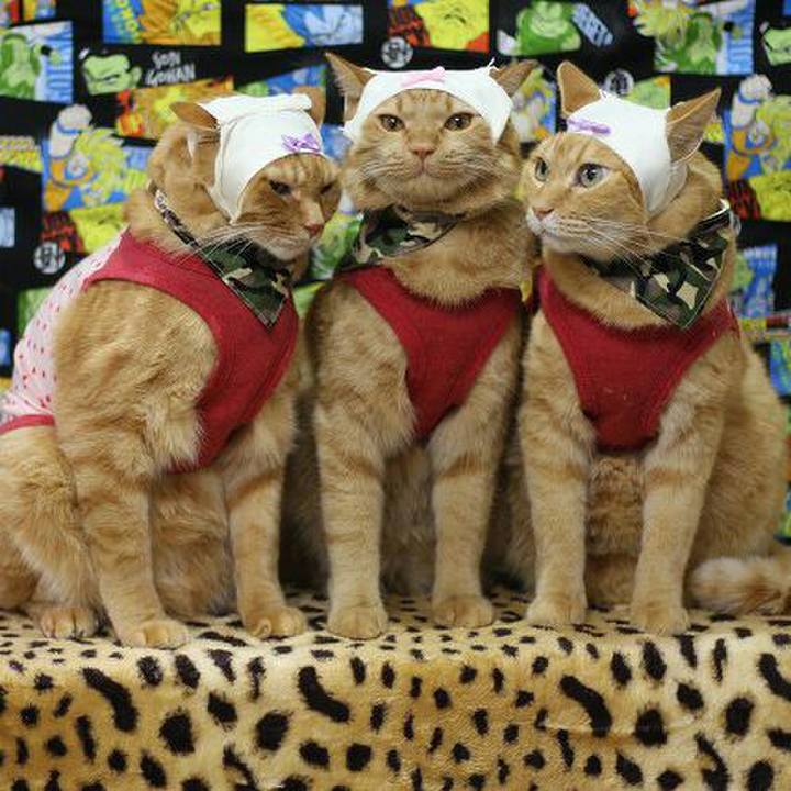 16ecc730 5306 4978 b6d1 f80d45f97da6 1570102447602