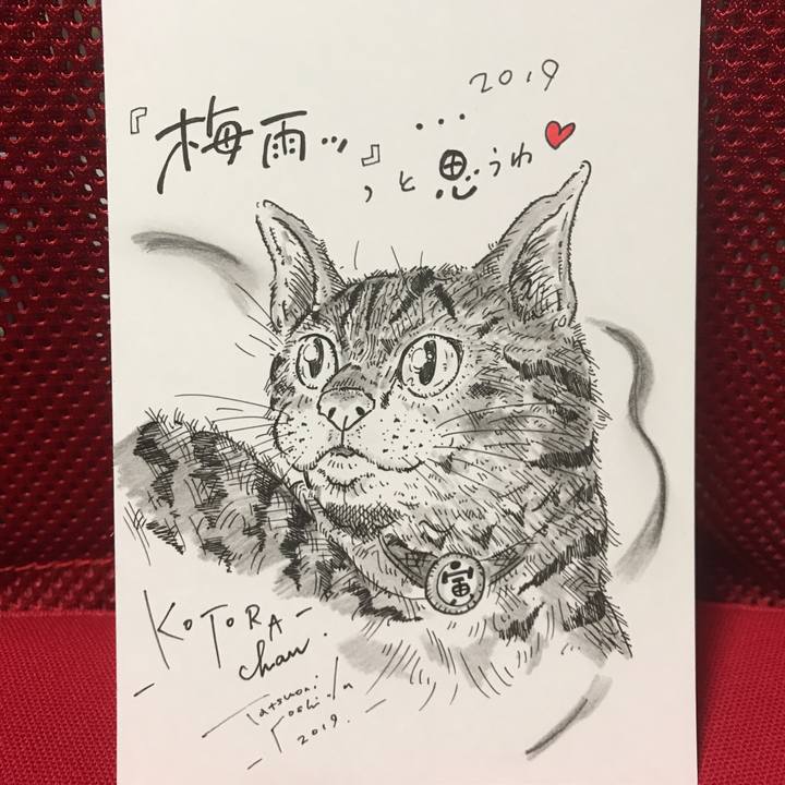 16ecf92c 122f 44da 8ffc eb0154aea627 1561655799161