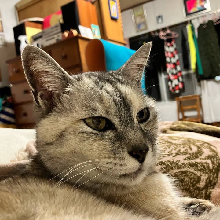 16ed1020 69a7 47b5 a49a 852536053539 1715516022153