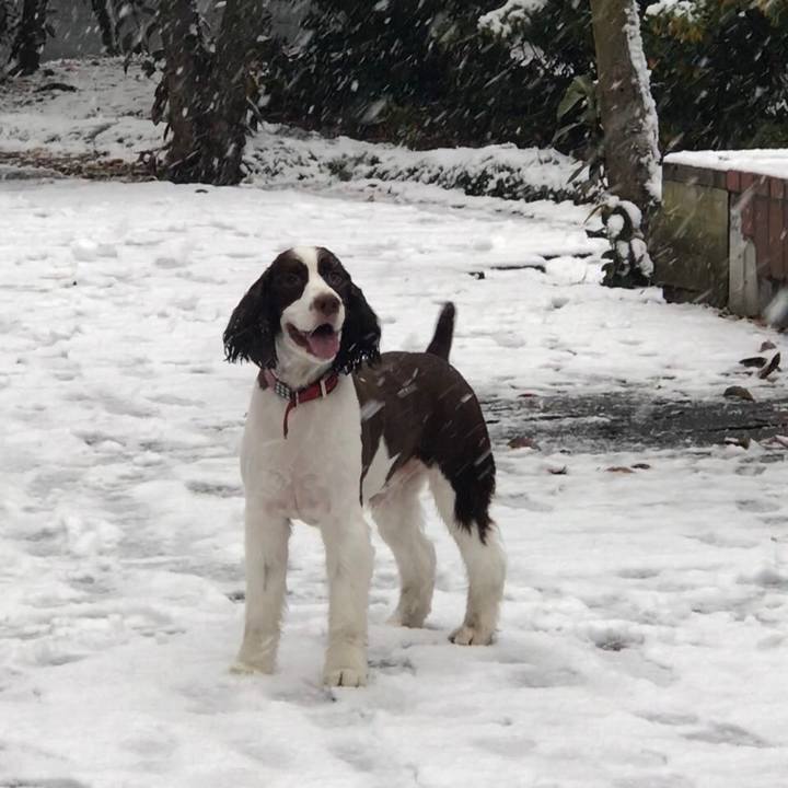 16ed3a5e d4b5 4c7a a4a1 f52d08babd54 1516941747919