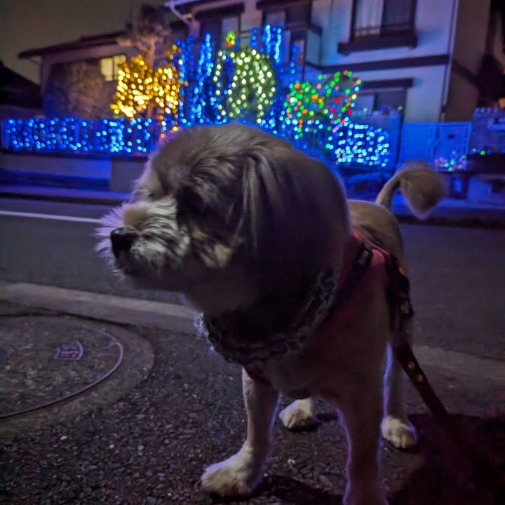 16ed44b1 24c4 4331 9263 f371c0c0bb60 1701173834072