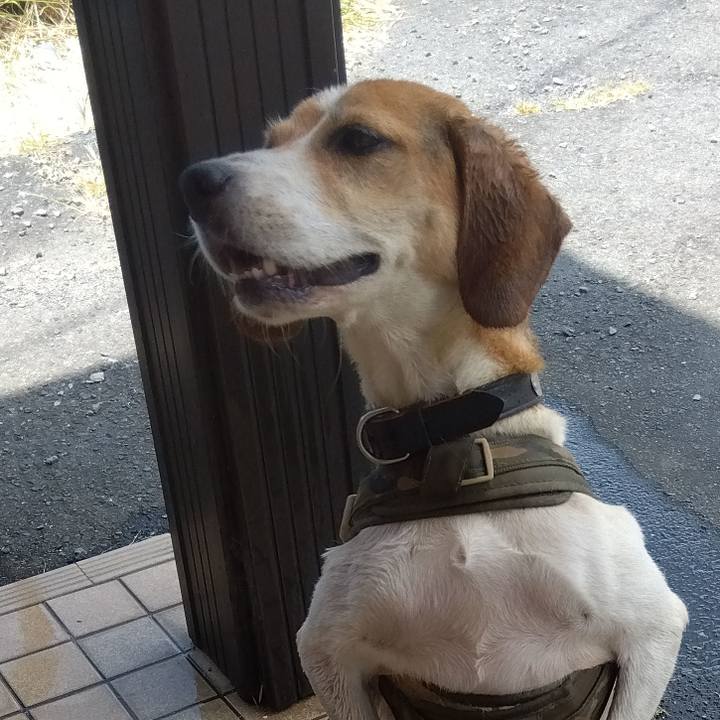 16ed7aed 4ebd 4cee 883a 0c981ef2ce0c 1690717678075