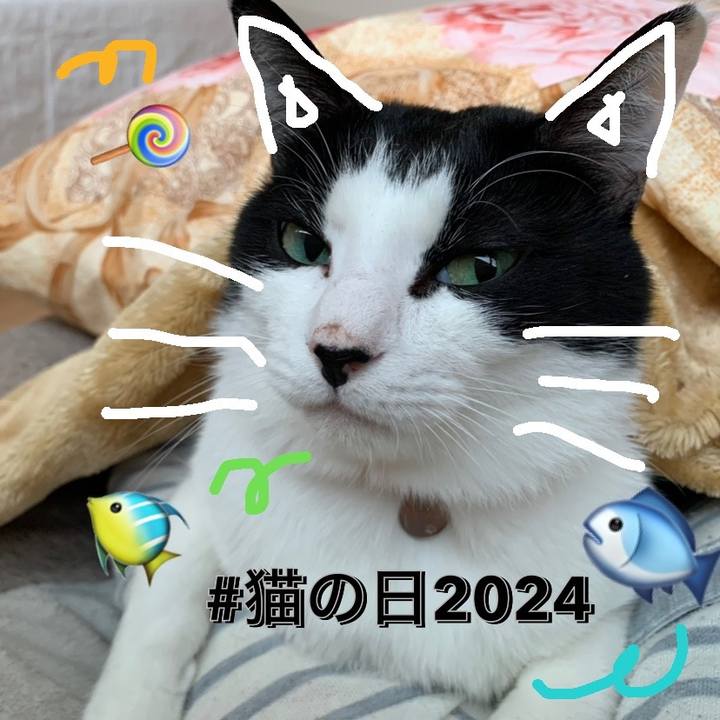 16edb2a7 126d 4334 b7f4 61a43c3d8697 1708653165029