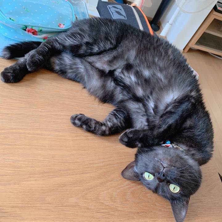 16edca2b 7914 45aa 889f 0ba6b4dc8370 1562158603792