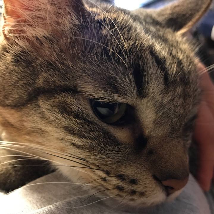 16edca88 9791 4ca9 a3a8 35bce23d2881 1559445240311