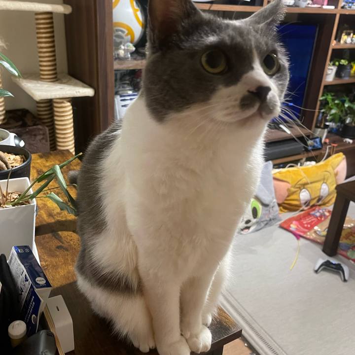 16edddaf 73d5 4b81 80e2 66037b4da1ea 1757694890940