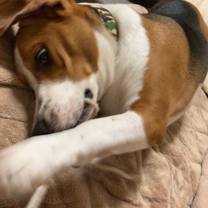 16ee0414 f06f 4b4b a945 90f0239cfeb2 1549286675949