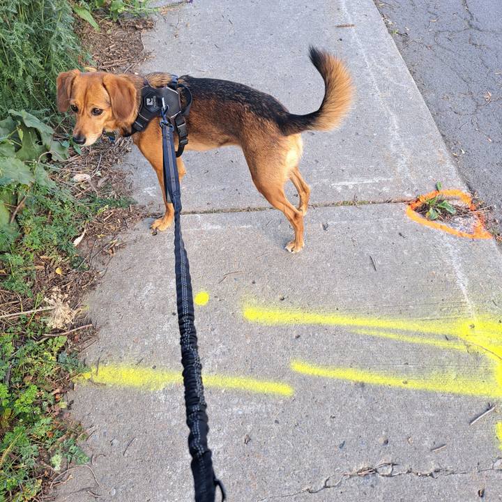 16ee16d9 2aa2 4ddb b79b 4c847a356c18 1757973464776