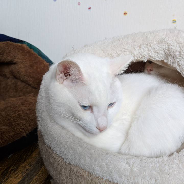 16ee1e06 f97e 40dc a5ff accdc16263c4 1546261201410