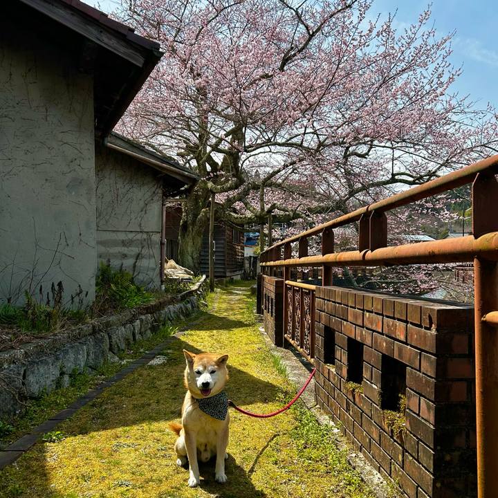 16ee258a 0e0a 4418 a13d 5c951a2675d0 1712055704971