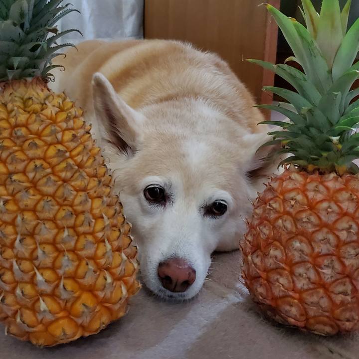 16ee404e b21c 490d 9c60 9c0d9497dd80 1621535777185