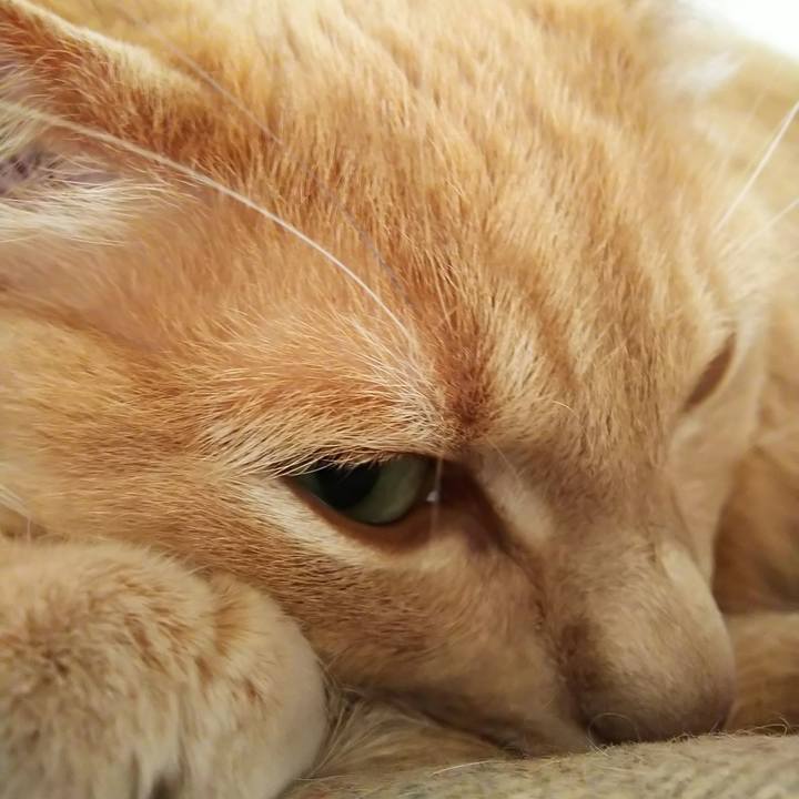 16ee4841 5d05 429e aae5 e8ad63e9a22b 1668830746393