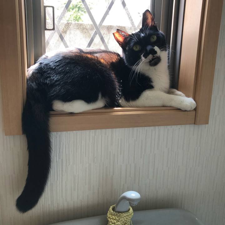 16ee86fd 803d 4459 96f7 0ffaa54e14da 1627506736089