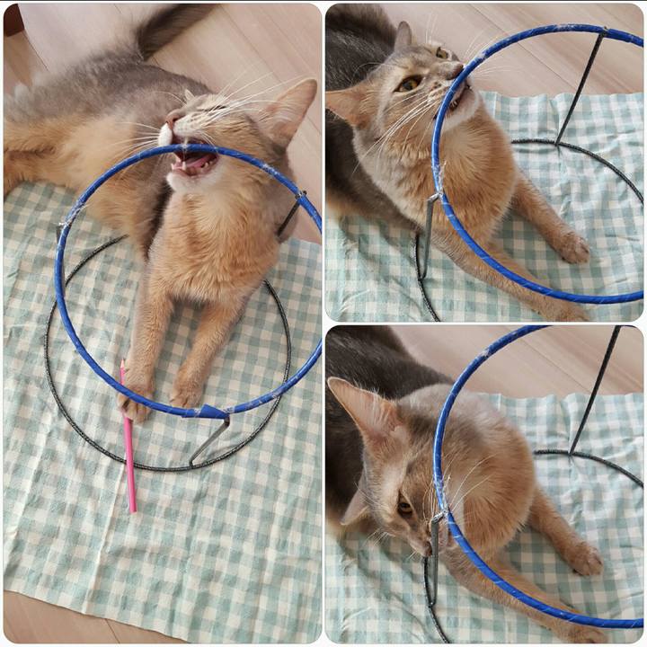 16eec321 5bcf 4a8b bc60 d357475d05de 1570950570741