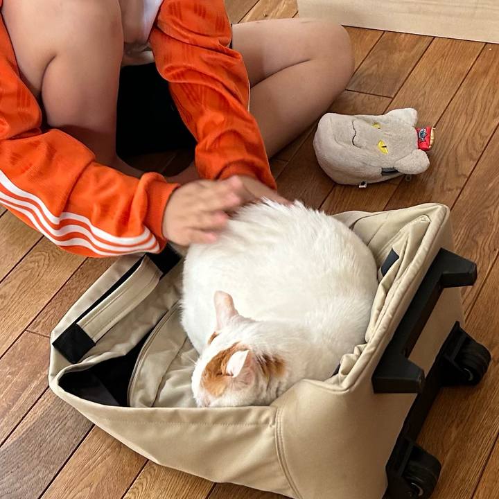 16eecc69 48cc 47af 82e7 674a76f2e975 1685076073776