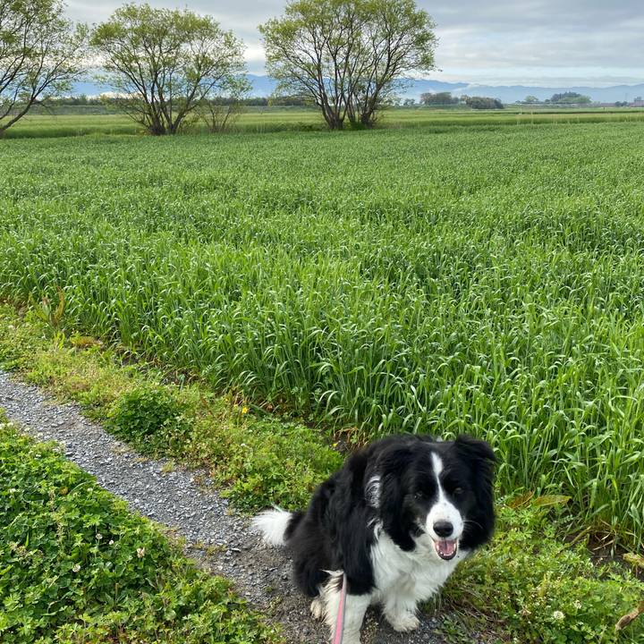 16eeebe3 8e6e 4beb bda9 416fc966048f 1649725679608