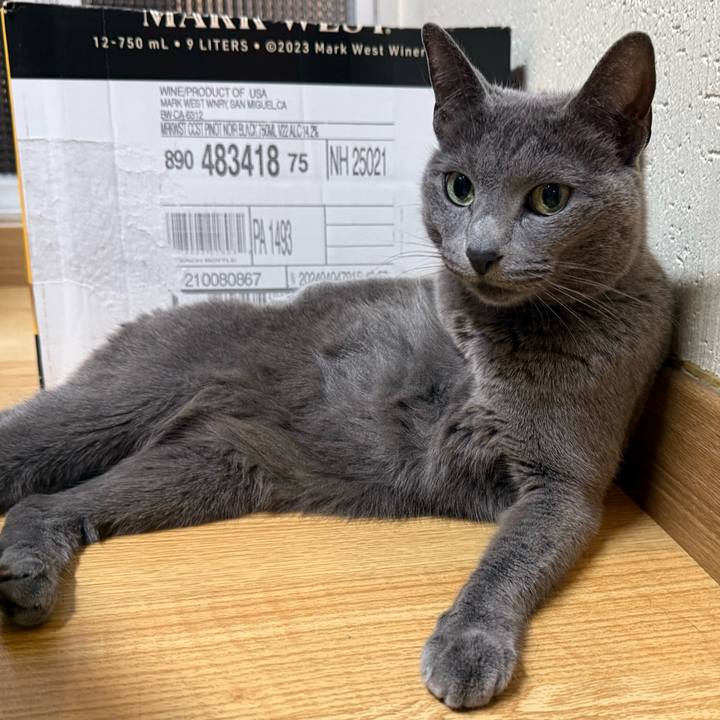 16ef0a51 ce69 4594 b374 21310b1758a9 1747443662737