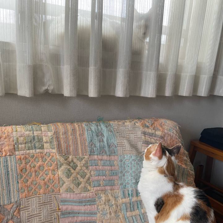 16ef2688 2e94 4094 9060 aa1a845d6f13 1657149597963