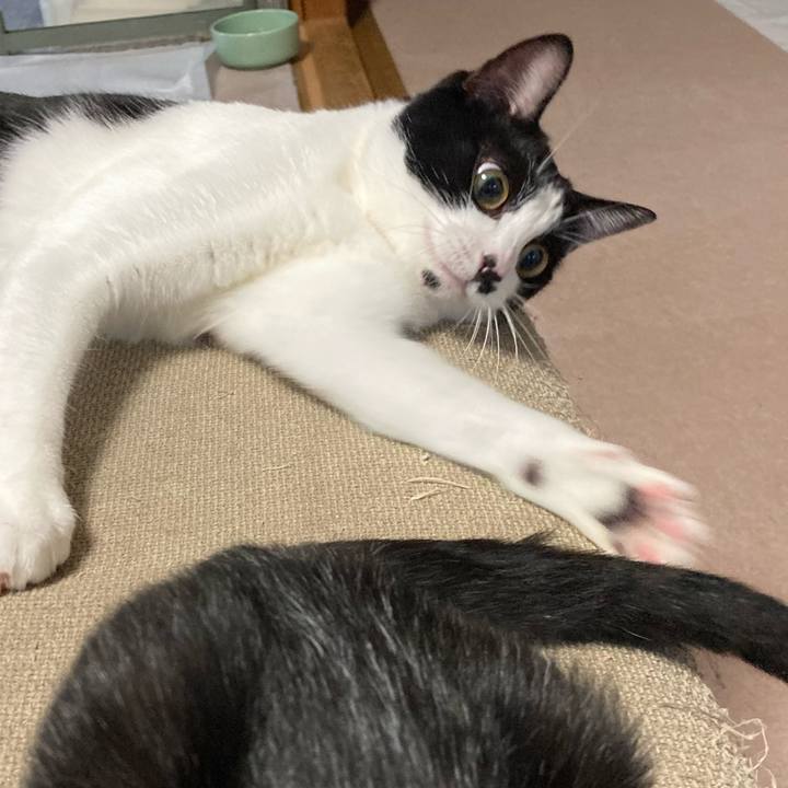 16ef55e9 efd4 46d7 b887 5c76b96d8ccf 1598346760082