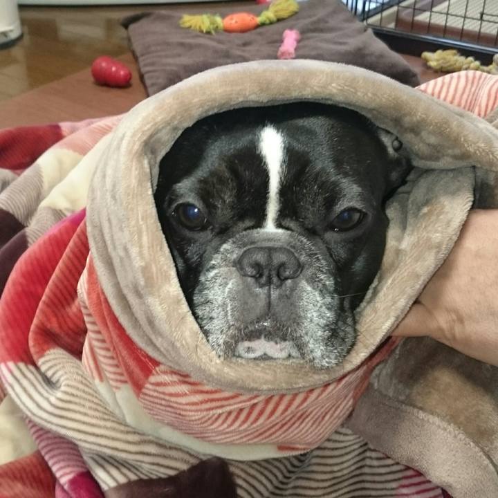 16ef63ff 5c82 43f4 8b26 01cc55a3ec58 1513291763059