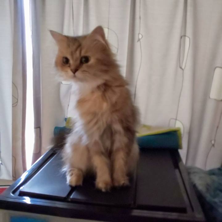 16ef6a02 7bdb 4e39 976a 459f7daec219 1626925325061